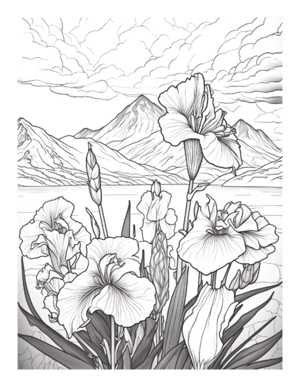 Free Mountain Iris Flower Garden Coloring Page 13