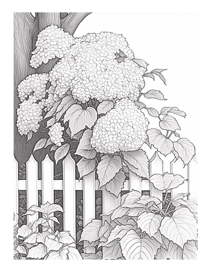 Free Flower Garden Coloring Page 5