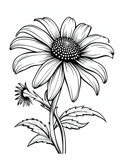 Free Daisy Flower Coloring Page