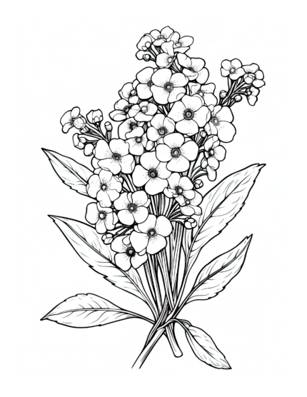 Free Flower Coloring Page 15