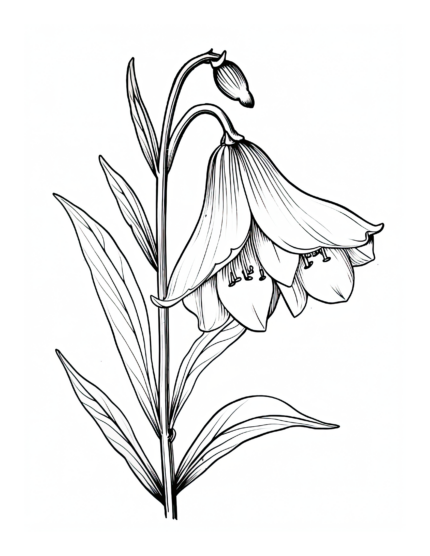 Free Flower Coloring Page 19