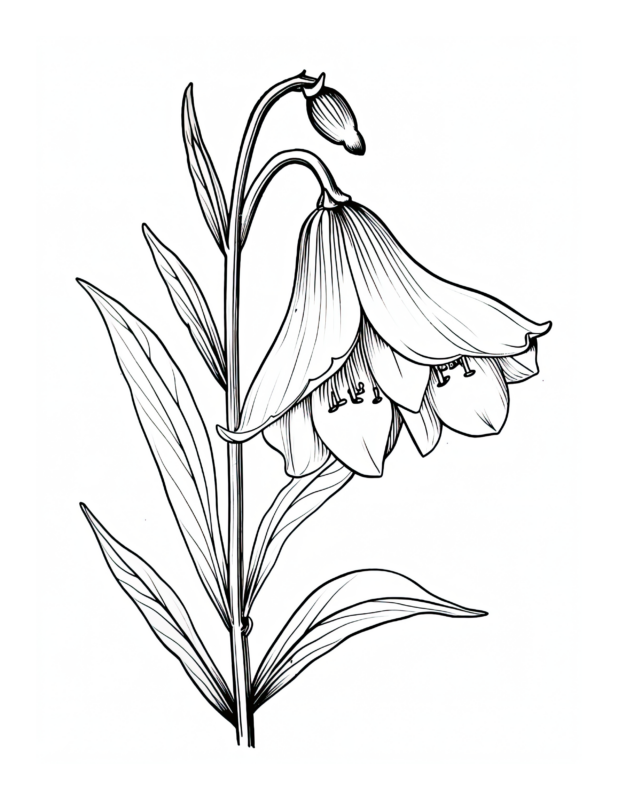 Free Printable Woodland Whispers - Bluebell Coloring Page For Kids And ...