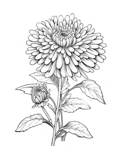 Free Flower Coloring Page 3
