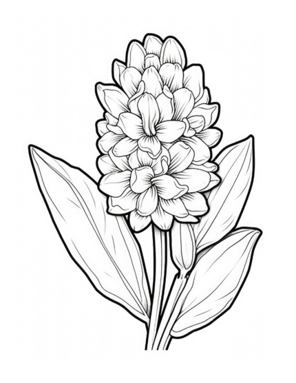 Free Flower Coloring Page 51