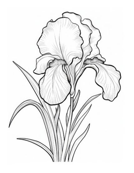 Free Flower Coloring Page 57