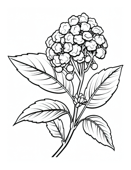 Free Flower Coloring Page 59