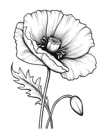 Free Flower Coloring Page 79
