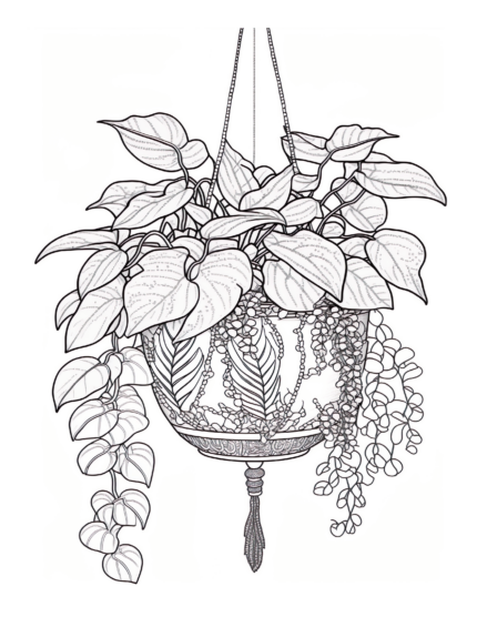 Free Plant Coloring Page 11