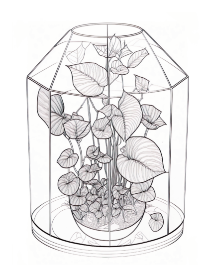 Free Plant Coloring Page 15