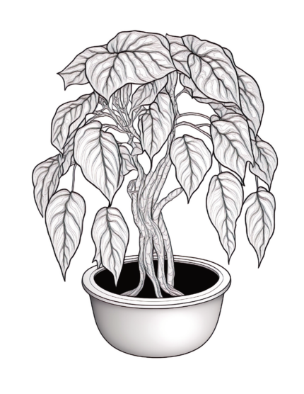 Free Plant Coloring Page 17