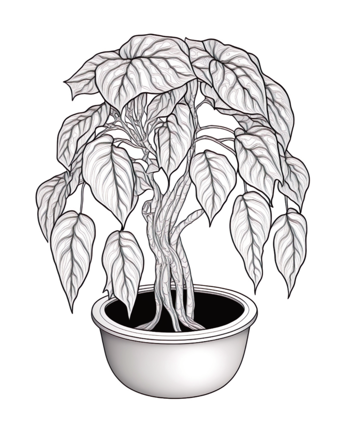 Free Plant Coloring Page 17