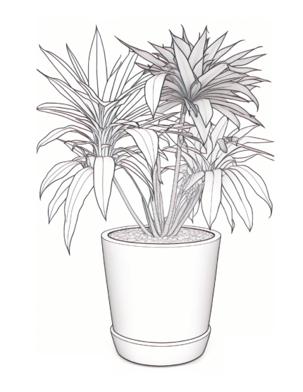 Free Plant Coloring Page 19