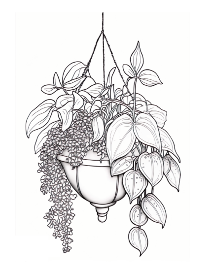 Free Plant Coloring Page 21