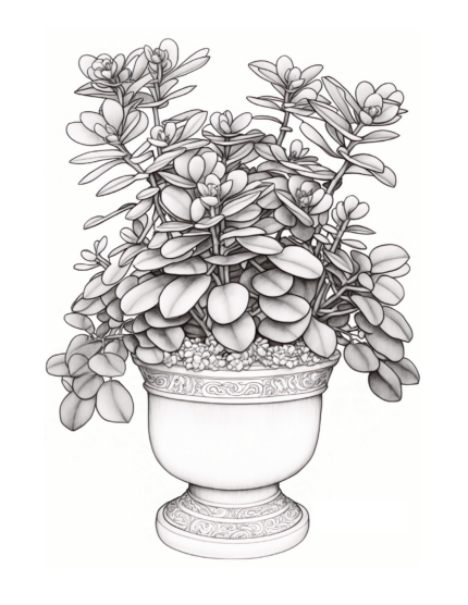 Free Plant Coloring Page 35