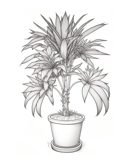 Free Plant Coloring Page 37