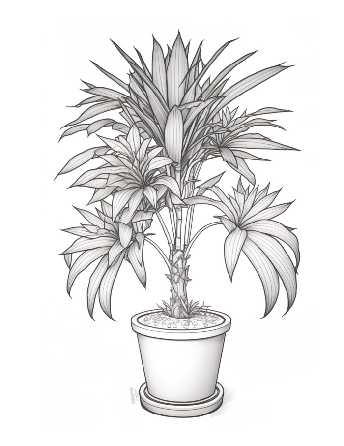 Free Plant Coloring Page 37