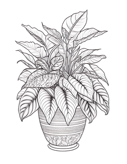 Free Plant Coloring Page 41