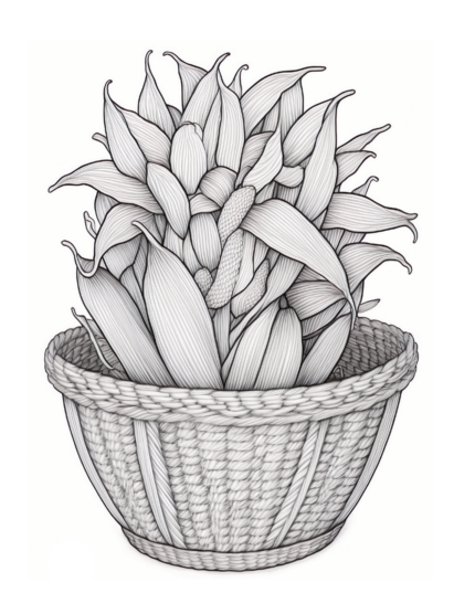 Free Plant Coloring Page 47