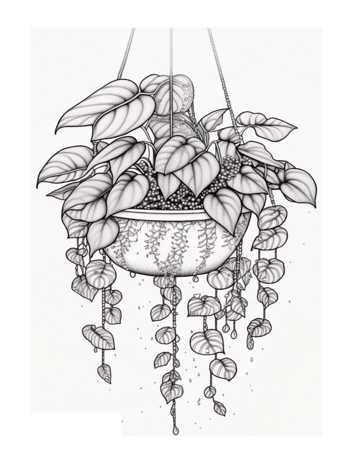 Free Plant Coloring Page 59