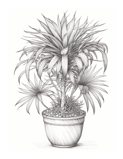 Free Indoor Tree Plant Coloring Page