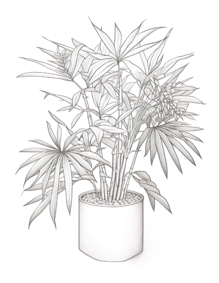Free Plant Coloring Page 7
