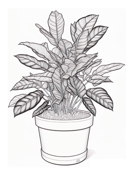Free Plant Coloring Page 77