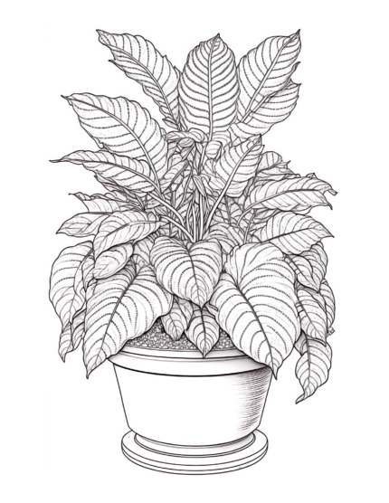 Free Plant Coloring Page 81