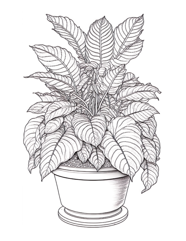 Free Printable Indoor Fiesta - Croton Coloring Page For Kids And Adults