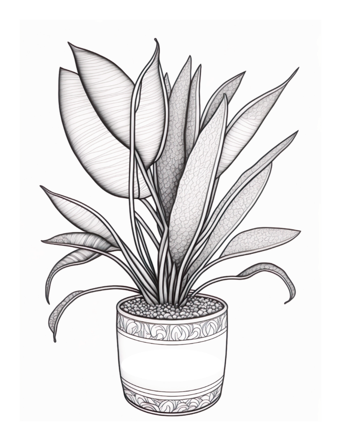 Free Plant Coloring Page 97
