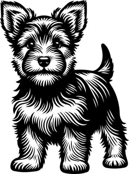 Australian Terrier puppy Coloring Page