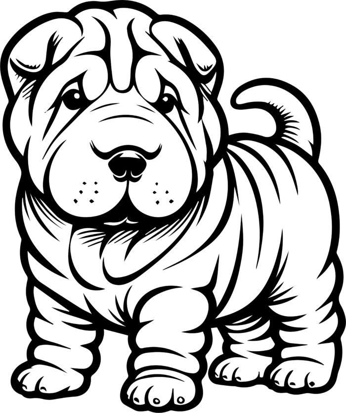 Chinese Shar-Pei d Puppy Coloring Page