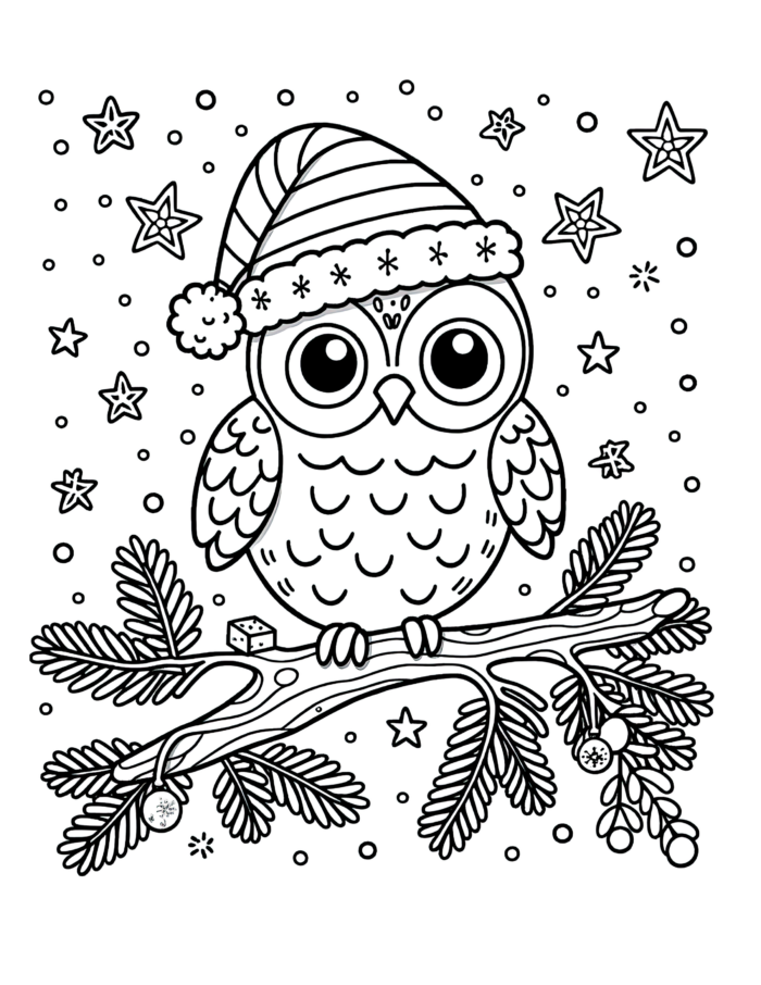 Santa Hat Owl Coloring Page