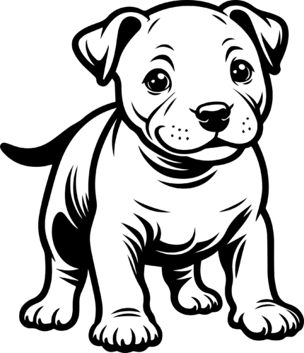 Staffordshire Bull Terrier Puppy Coloring Page
